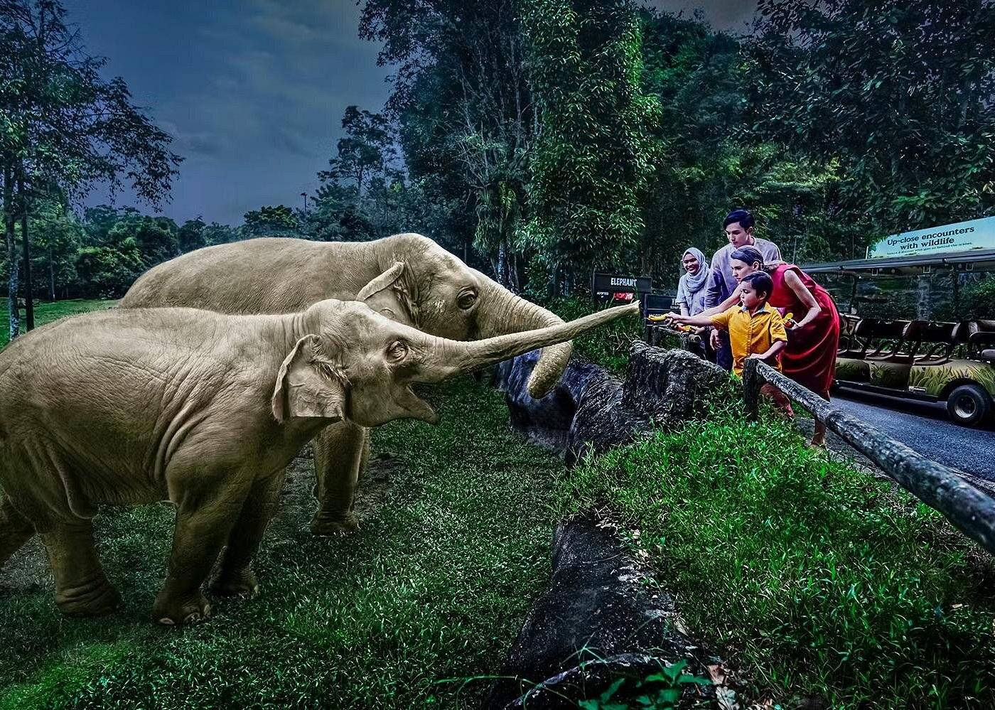 Adventure in Singapore & Malaysia